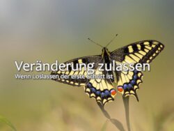 Veränderung zulassen